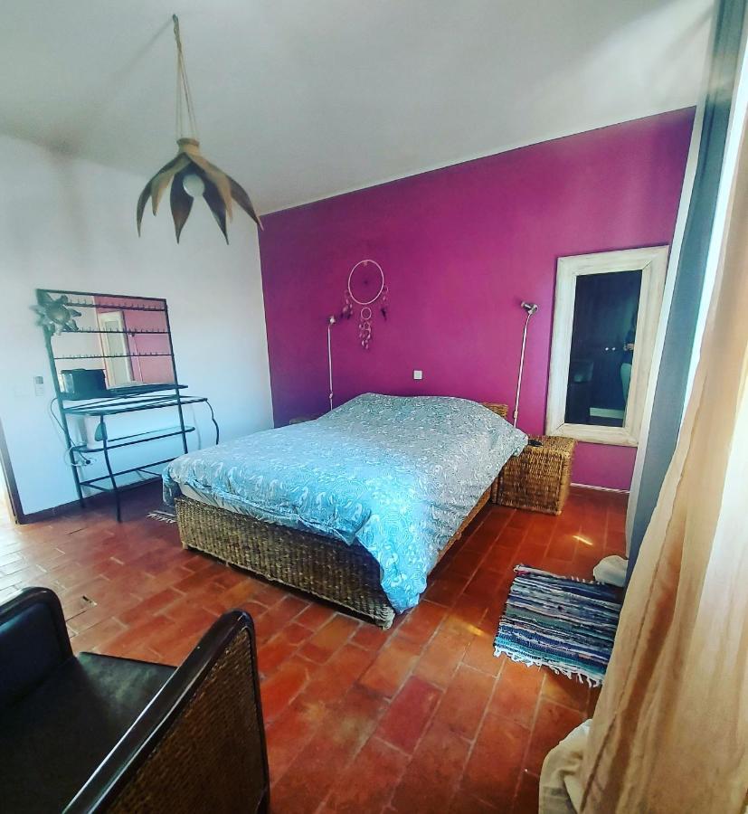 Casa 19 Homestay *