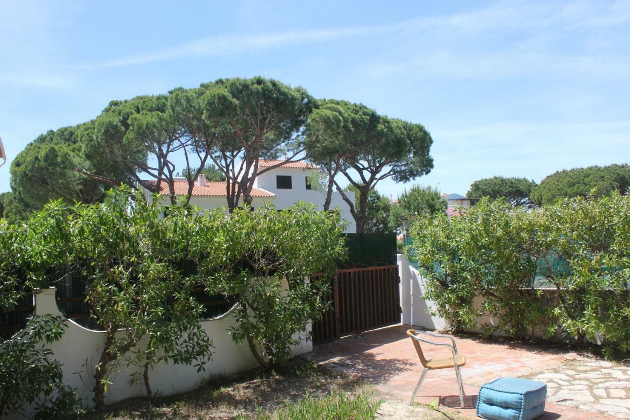 Casa 19 *