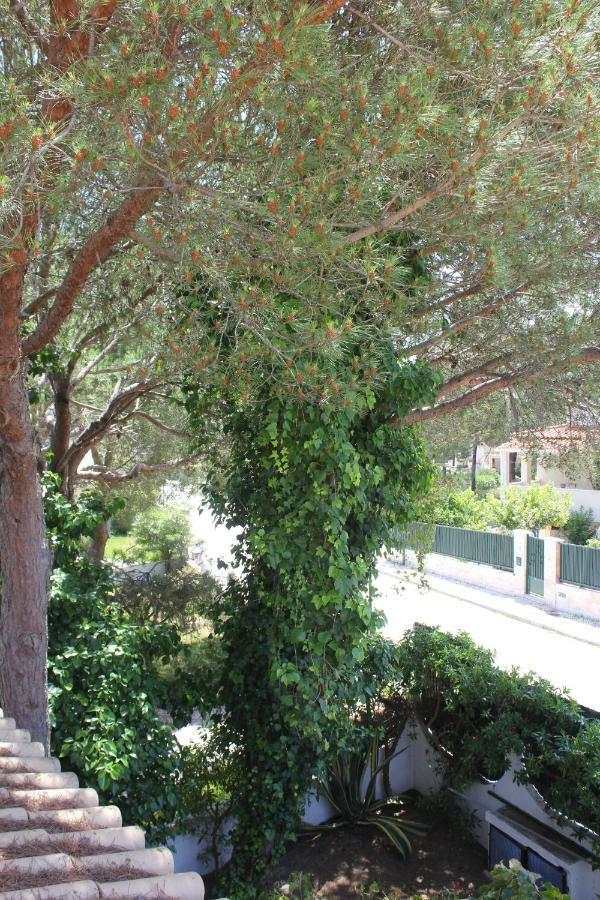 Casa 19 Homestay Albufeira